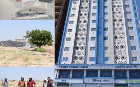 بنك اليمن والكويت: تمويلات مبتكرة تعيد الحياة للقطاع الزراعي وتدعم المزارعين في لحج وأبين