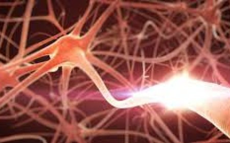 اكتشاف يغير قواعد اللعبة في علاج الأمراض العصبية