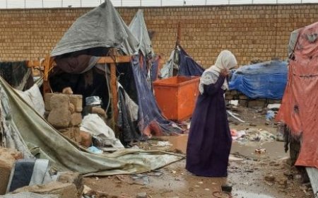 تقرير حكومي : ازدياد نزوح الأسر لمحافظة مأرب ..( تفاصيل )