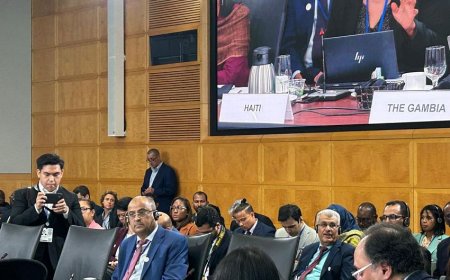 وزير المالية يشارك في الحوار الوزاري الـ 13 لمجموعة العشرين (V20) في واشنطن