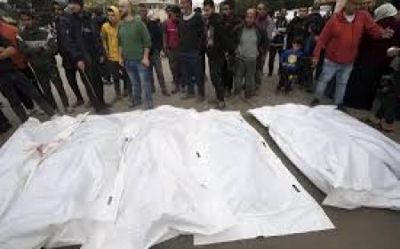 حكومة غزة تكشف حصيلة العائلات التي قتلت إسرائيل جميع أفرادها ومحتها من السجل المدني