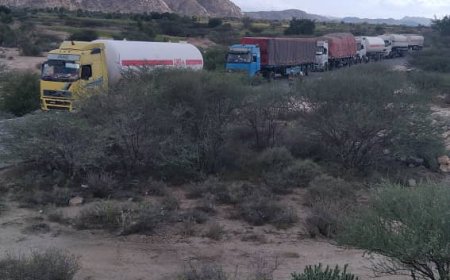 ثلاثة قطاعات قبلية في ابين تطالب باطلاق سراح معتقلين في عدن