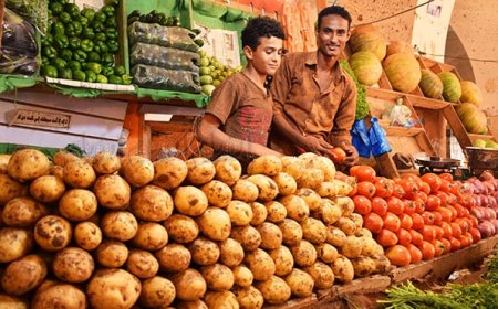 انخفاض أسعار البطاطس في عدن .. تفاصيل!