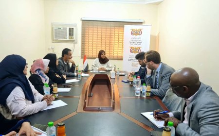 رئيسة اللجنة الوطنية للمرأة تلتقي بنائبة رئيس البعثة الأممية "اونمها" لمناقشة معاناة النساء في الحديدة