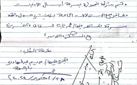 تفاصيل مؤسفة في سير قضية الصحافية مريم بارحمة