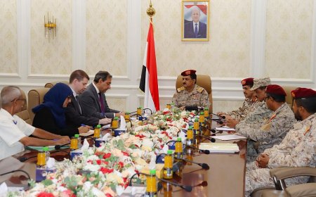 وزير الدفاع يلتقي  نائب المبعوث الأممي