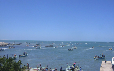 بحيرة البردويل بسيناء.. ما حقيقة بيعها للإمارات؟