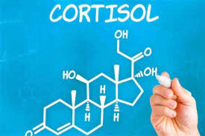 الكورتيزول.. أعراض زيادة إفرازه وتأثيره على صحة النساء