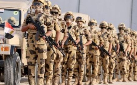 ما صحة استقبال سفينة ألمانية تحمل أسلحة لإسرائيل في مصر ؟