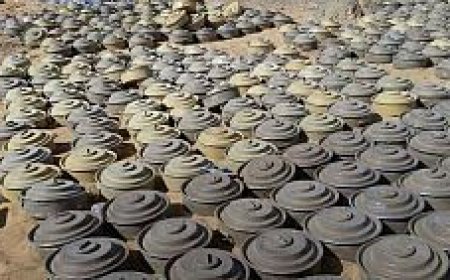 مسام ينتزع 636 لغمًا خلال اخر اسبوع من شهر أكتوبر