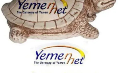 الأنترنت يلفظ أنفاسه الأخيرة ومطالبات بتوفير خدمات (ستارلينك)