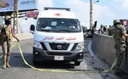 ارتفاع عدد ضحايا الغارات الإسرائيلية في لبنان