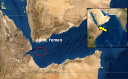 أكثر من 10 زوارق تحمل مسلحين تقترب من سفينة تجارية في خليج عدن 