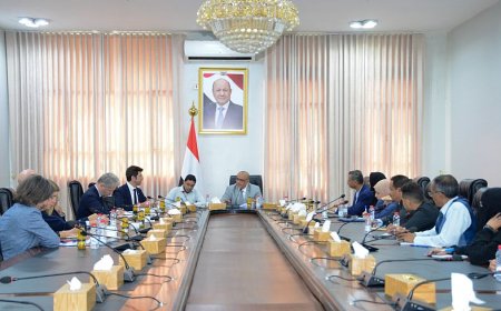وزير التخطيط يبحث مع وفد أوروبي سبل دعم المشاريع التنموية