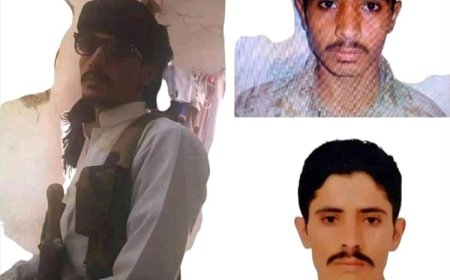 ناشطة حقوقية: منفذ الجريمة بجنود سعوديين جاسوس حوثي