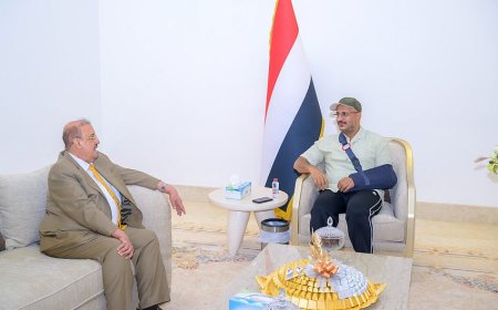 رئيس مجلس النواب يزور عضو مجلس القيادة طارق صالح للاطمئنان على صحته