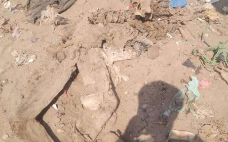 أسرة  عشال تحسم الجدل بشان الجثة التي عثر عليها في عدن