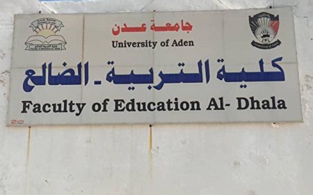 قرار بتغيير مسمى كلية التربية الضالع وفتح سبعة أقسام جديدة فيها.