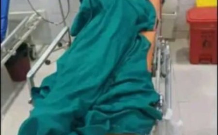 قلة وعي وانعدام الإسعافات الأولية.. وفاة طفل بعد تعرضه للدغة من أفعى سامة باحدى قرى الضالع   