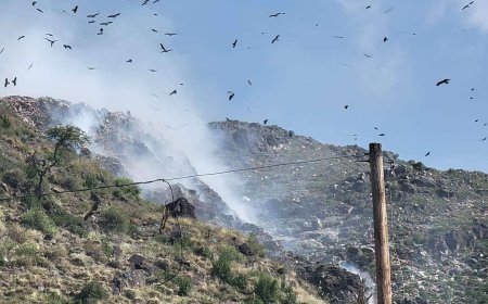 كارثة وبائية لا يحمد عقباها.. حدائق الصالح تهدد المواطنين في تعز