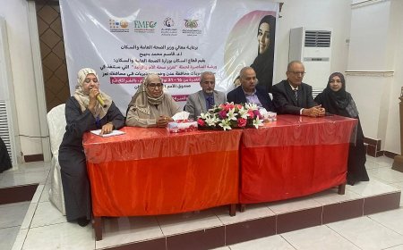 قطاع السكان بوزارة الصحة ينظم ورشة مناصرة لحملة تعزيز صحة الأم والوليد