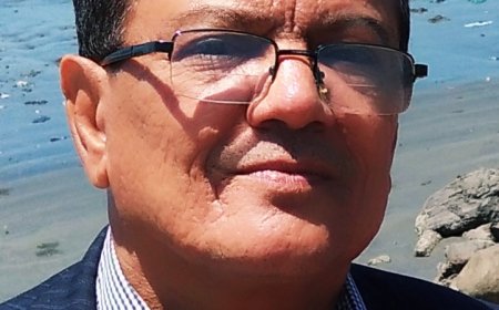 للأمانة العلمية حول الكليات الجامعية