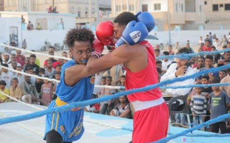 اليوم.. انطلاق بطولة فقداء نادي تضامن حضرموت للعبة الملاكمة