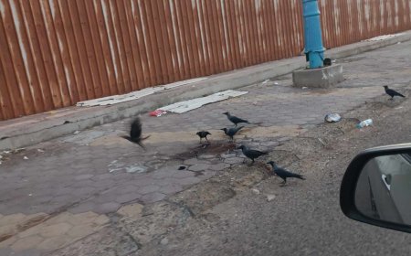 العثور على جثة متحللة داخل باص فوكسي في خور مكسر