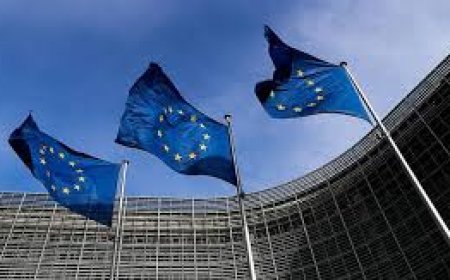 مقترح أوروبي بتعليق الحوار السياسي مع "إسرائيل" وفرض حظر الاستيراد