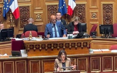 فرنسا .. اعتماد قرارا يدين هجمات الحوثي على السفن
