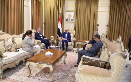 وزير الخارجية يلتقي رئيس بعثة الأمم المتحدة لدعم اتفاق الحديدة (أونمها)