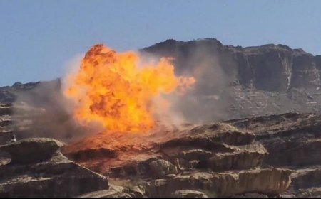 ألوية محور علب تكمل برنامج تدريبي عسكري ميداني بالذخيرة الحية