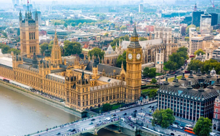 صدق أو لا تصدق.. عرض حمار يمني للبيع في بريطانيا(صورة)