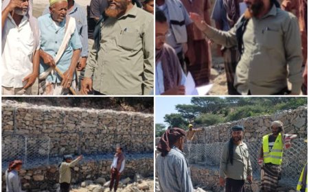 لحج.. مدير طور الباحة يتفقد أعمال صيانة الأراضي والقنوات الزراعية