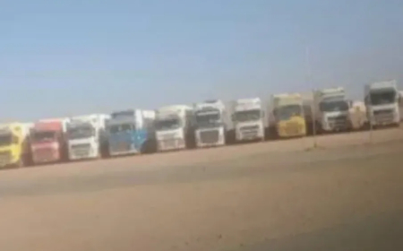 وأخيرا سيقل سعر الأسماك.. لماذ منعت السعودية استيراد الأسماك من اليمن؟!