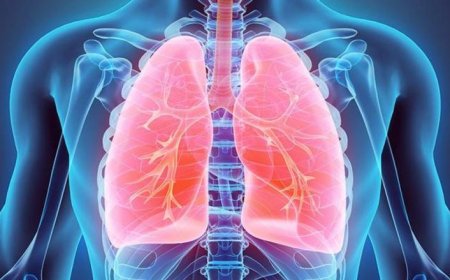 تحذير من (الصحة العالمية).. مرض الانسداد الرئوي المزمن يصيب ملايين الأشخاص دون إدراكهم بالإصابة به
