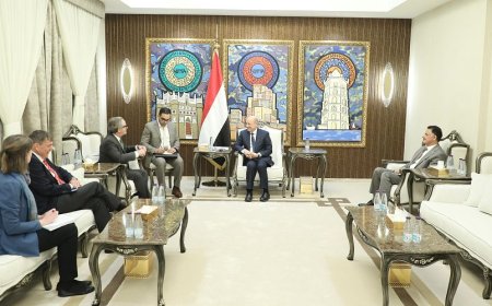 رئيس مجلس القيادة الرئاسي يستقبل رئيس بعثة الاتحاد الأوروبي وسفير المانيا الاتحادية