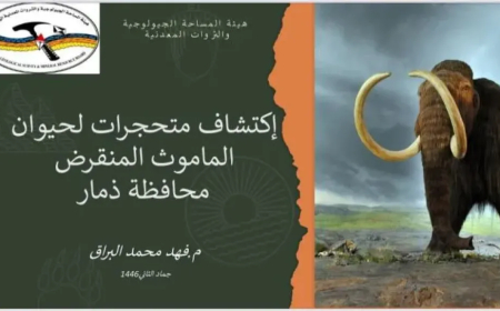 سر تاريخي قديم لا يصدق.. أحافير الماموث تكشف عن ماضي مجهول في ذمار