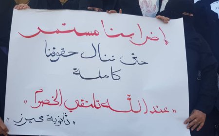 المدارس الخاصة تدمر التعليم وتنهي دور المدارس الحكومية