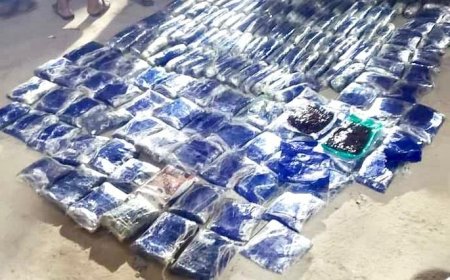 القبض على زائر باكستاني يمحل الحشيش المخدر على حدود اليمن