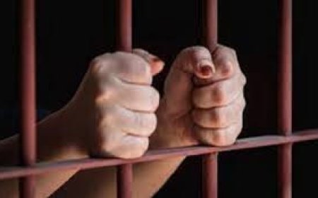 أم تتجرد من الإنسانية و تحبس طفلتها بصندوق لـ 3 سنوات..