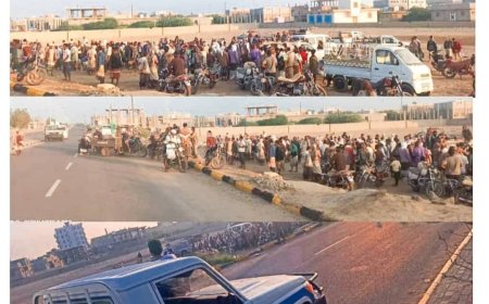 بتوجيهات محافظ محافظة أبين وإشراف مدير عام المديرية وبتعاون الأجهزة الأمنية تخصص وتنظيم سوق خاص لبيع الاغنام والمواشي بمدينة زنجبار