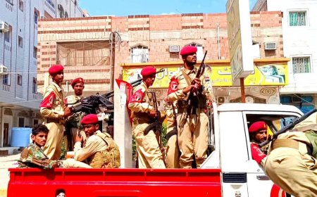 ضبط أسلحة في المنصورة.. تفاصيل وصورة