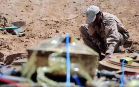 خلال أسبوع.. مسام يعلن انتزاع 840 لغما في مختلف المحافظات