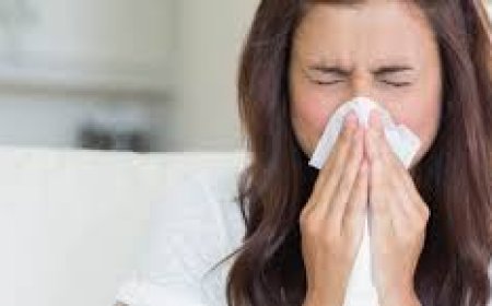 5 أعشاب تحارب البرد والحساسية.. احرص عليها في فترة تغيّر الفصول