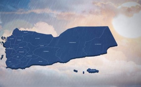 في شهر نوفمبر فقط تم تفريخ (3) كيانات.. سقطرى بـ(مجلس الحكماء) على خُطى المحافظات والإحزاب 