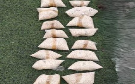 ثروات منهوبة!.. إحباط محاولة تهريب (380) كيسًا من الأحجار الكريمة من أبين (تفاصيل)