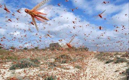 تحذير أممي من غزو قادم في اليمن