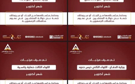 بدء صرف مرتبات عدد من وحدات وزارة الدفاع