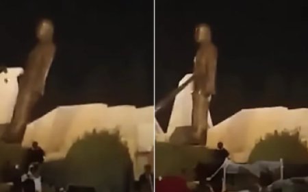 محتجون يسقطون تمثالا لحافظ الأسد بالقرب من دمشق ( فيديو)